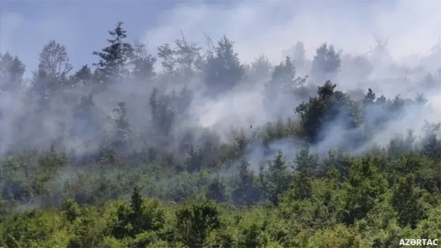 Hirkan Milli Parkındakı yanğın Fövqəladə Hallar Nazirliyi Ekologiya və Təbii Sərvətlər Nazirliyi Alaşa kəndi Astara