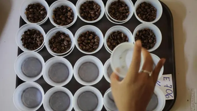 عينات من البن معروضة بالمسابقة الدولية بعنوان "أفضل ما تجود به بنما"