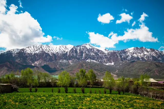 тоолуу айыл