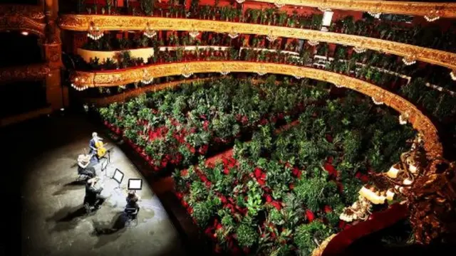 Bitkilər üçün opera