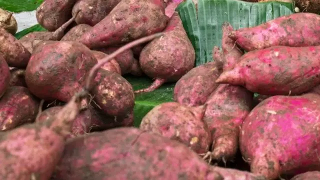 Potato na-atọ ụtọ