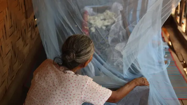 အောင်သပြေ