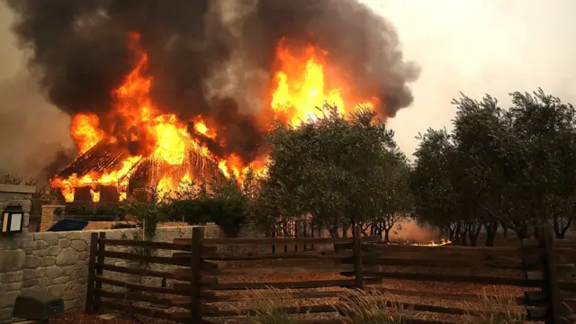 कैलिफ़ोर्निया के जंगलों में आग