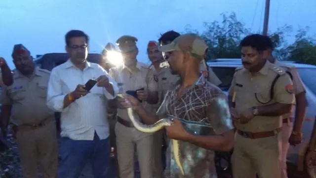 सांप के साथ छोटू नागराज