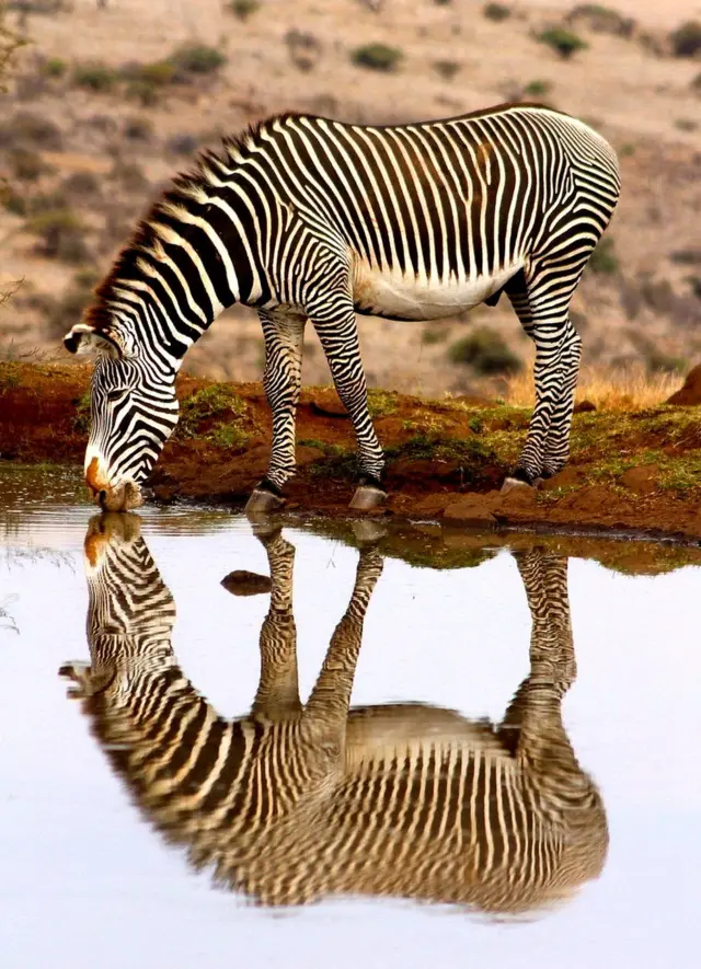 ఫొటోగ్రఫీ ఆఫ్ ద ఇయర్ 2018