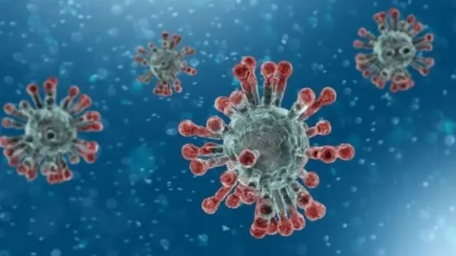 Une image représentant le nouveau coronavirus ou Covid-19