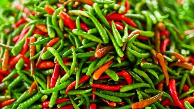 （图片来源：iStock）