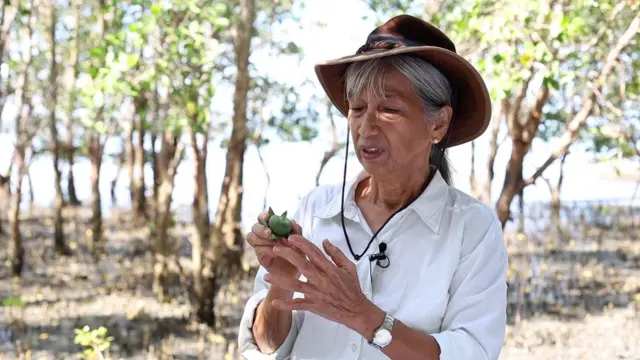 ڈاکٹر جرگینا پریماورا