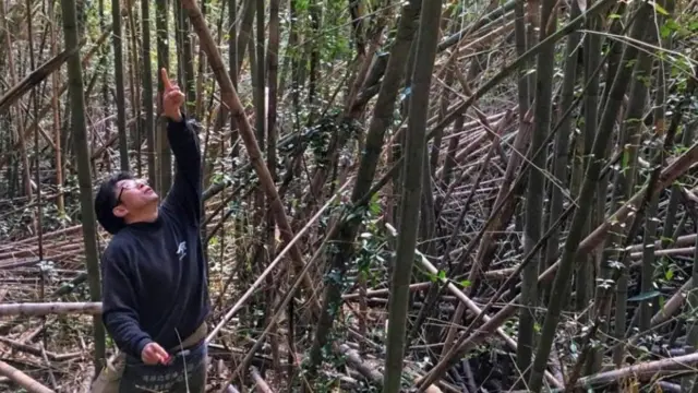 سویا ساس کی تیاری