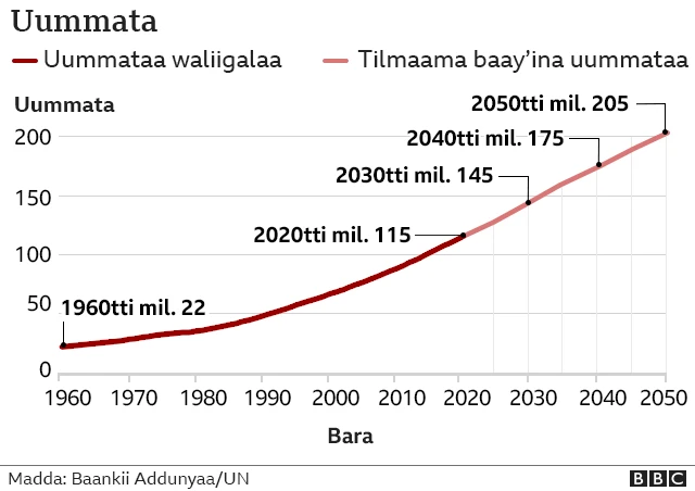 Baay'ina Uummataa Itoophiyaa