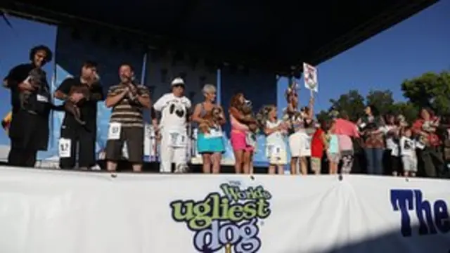 Le maître du chien élu est récompensé