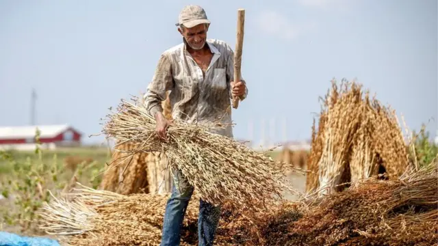 susam, poljoprivrednik