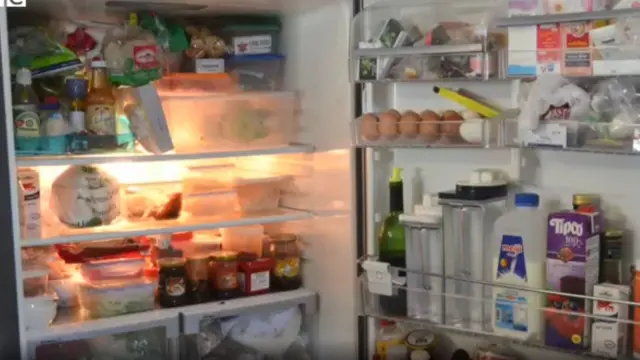 ఫ్రిజ్, రెఫ్రిజిరేటర్