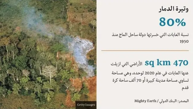 إحراق الغابات