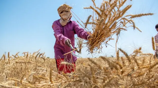 પ્રતીકાત્મક તસવીર