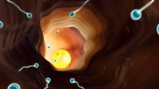 స్పెర్మ్ కౌంట్