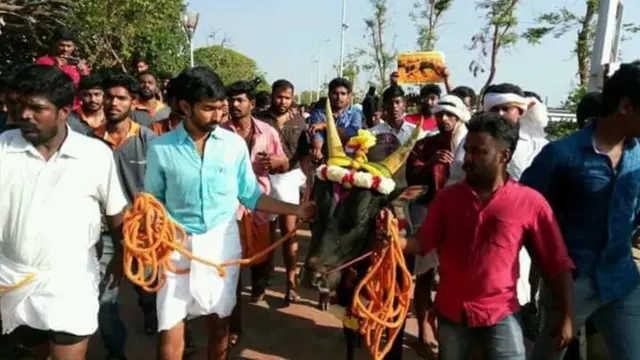 ஜல்லிக்கட்டிற்காக சென்னையில் திரண்ட இளைஞர்கள் கூட்டம் (புகைப்படத் தொகுப்பு)