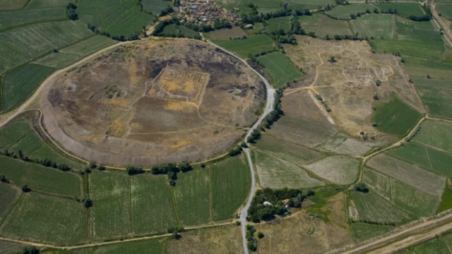 آشور، خواتین، کاروبار