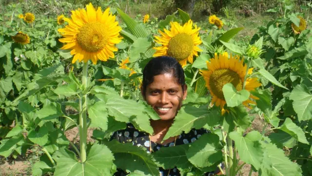 ஹம்ஷத்வாணி கெங்காதரன்
