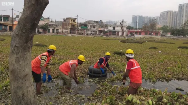 నీటి కుంటలు, నీరు