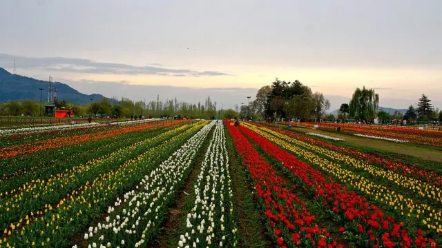 जम्मू काश्मीर