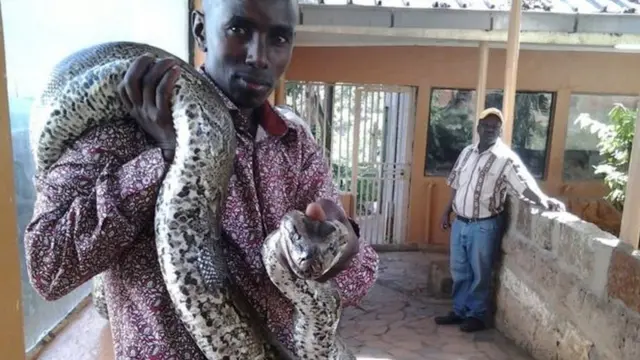 डेविड मूस्योका