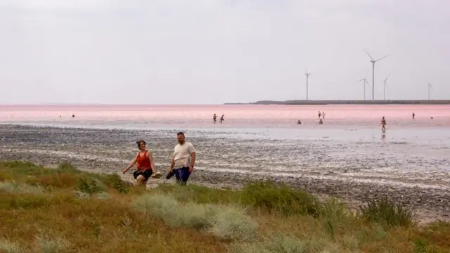 Сиваш