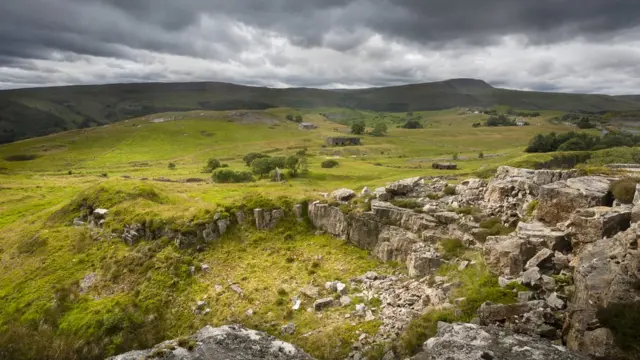 Заросший карьер