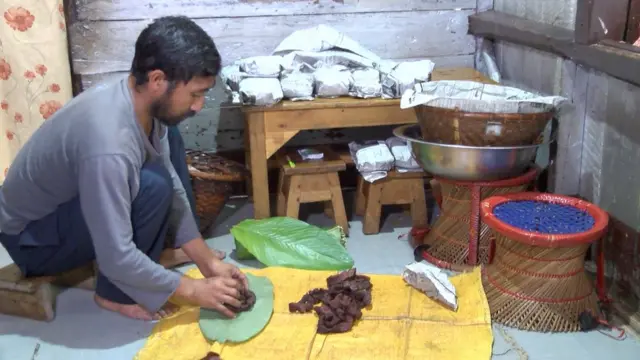 लाजोफार खरबुली