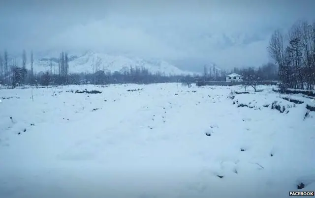 कश्मीर, त्राल, शादी, सिख, न्योता, सोशल मीडिया, फ़ेसबुक