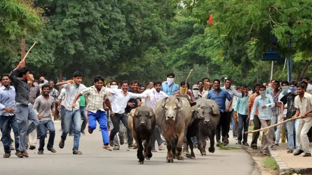 यूनिवर्सिटी, छात्र राजनीति, सांकेतिक तस्वीर