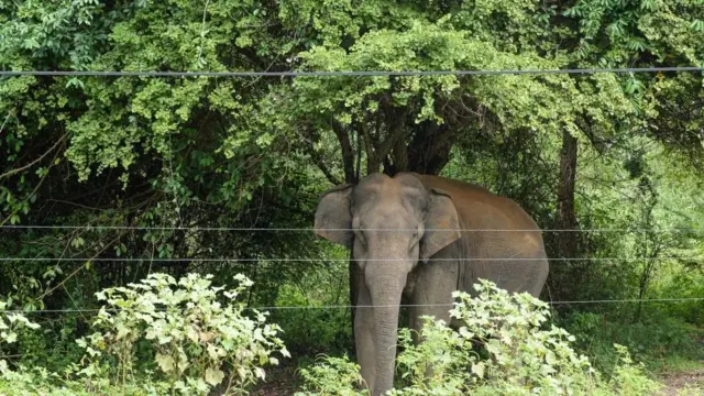 சின்னத்தம்பி