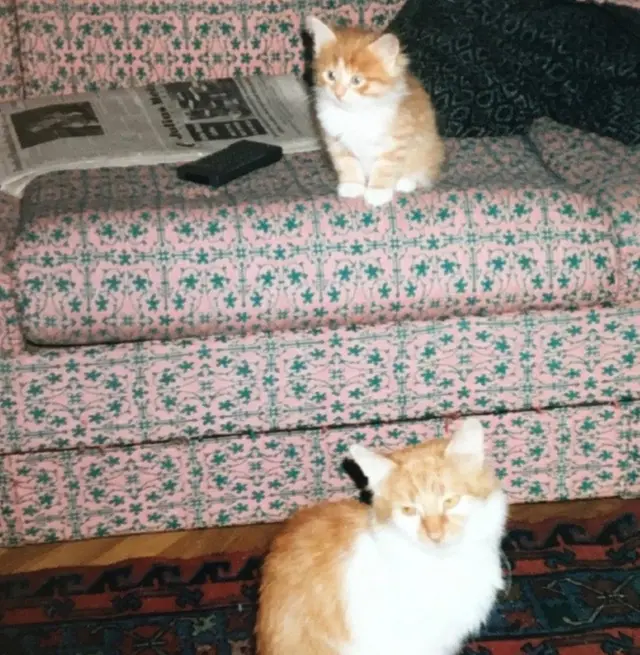 格蕾丝和她的儿子在莫斯科