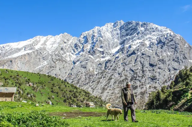 Ит ээрчиткен абышка