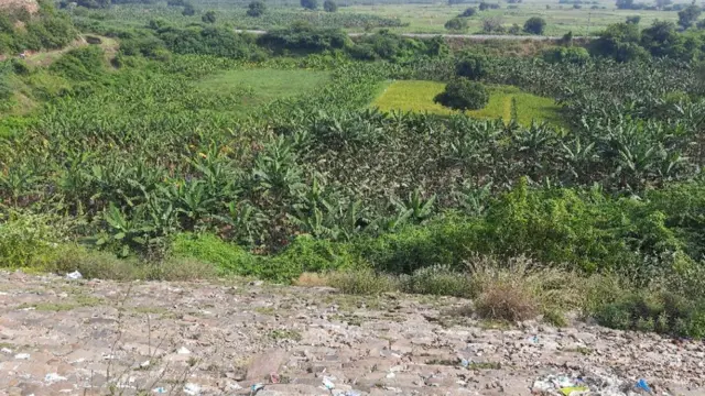 కంభం చెరువు