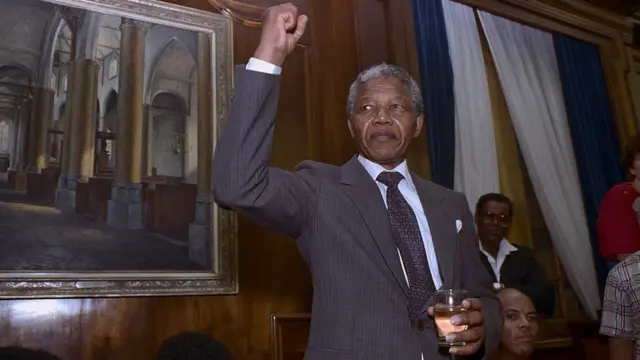 নেলসন ম্যান্ডেলা: জেল থেকে মুক্তি পাওয়ার পর।