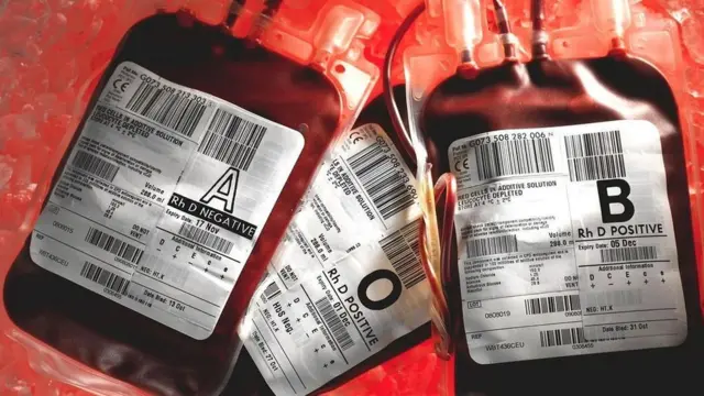 적혈구는 보통 몇 달이 지나면 새로운 것으로 교체된다. 반면 뉴런과 같은 세포는 새로운 세포로 대체되지 않는다