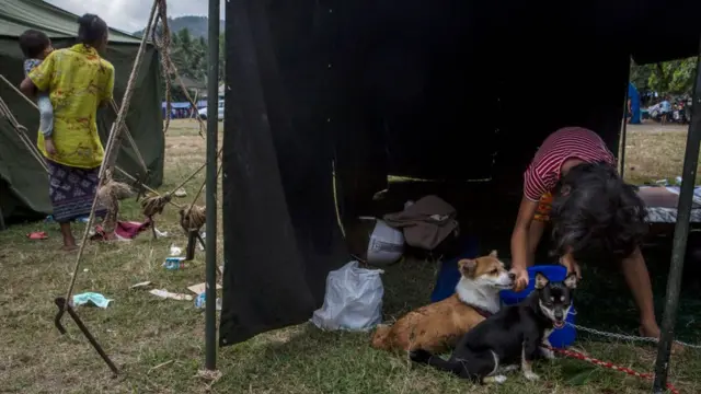 Seorang anak perempuan merawat anjingnya di pusat penampungan dan kawasan Karangasem, Bali.