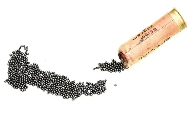 একটি শেলে থাকে পাঁচশো লোহার দানা। ছবি: আবিদ ভাট