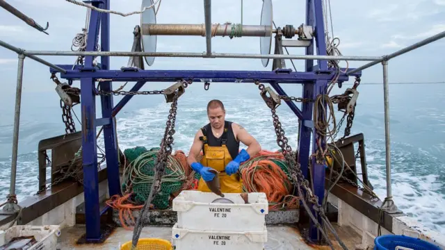 Рыоловный траулер