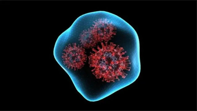 કોરોનાના નવા વૅરિયન્ટ