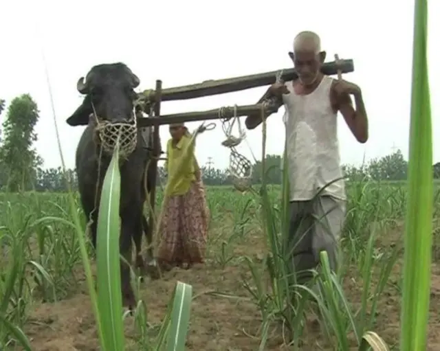 முன்னி தேவி