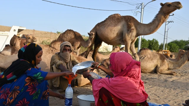 Yadda wata mata take juye madarar da suka tatsa daga rakuma a roba ranar Talata a N'Djamena da ke Chadi.