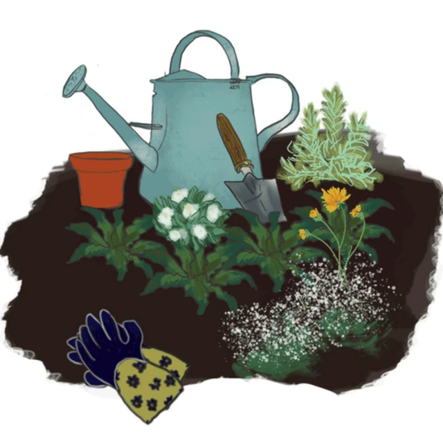 स्टिलबर्थ