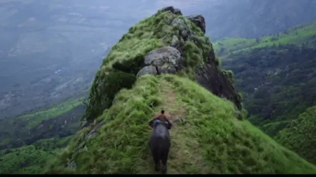 காடன் திரைப்படம்