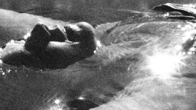 Күн нуруна кактануу