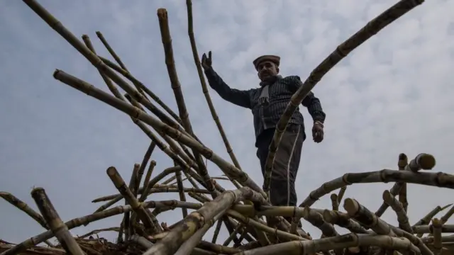 गन्ना किसान