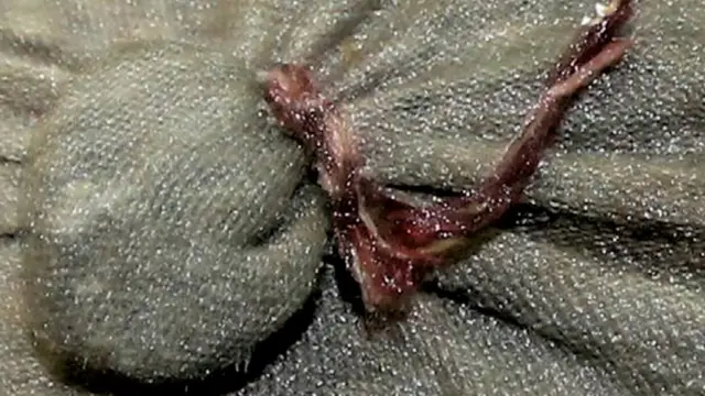 Pequeña bolsa con tierra atada a la camiseta de un migrante de Eritrea.