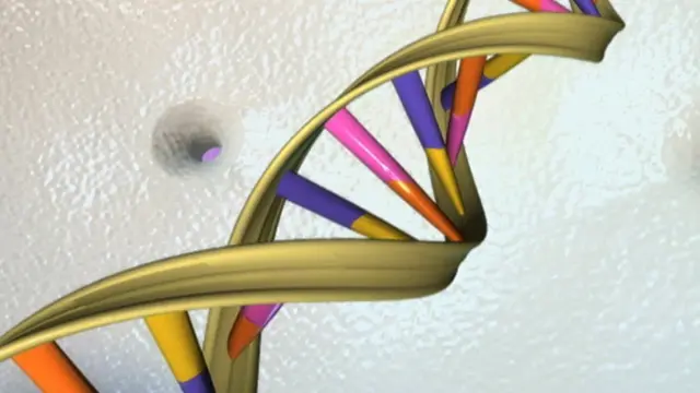 Спираль ДНК