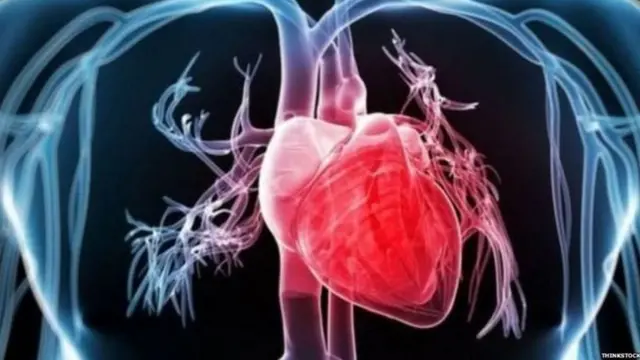 પ્રતીકાત્મક તસવીર